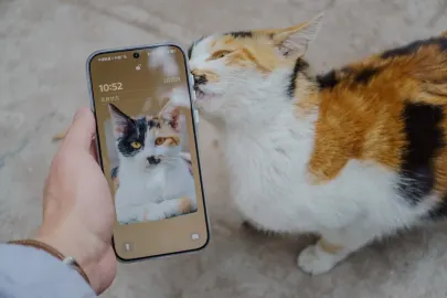 BetCart Kasyno Aplikacja mobilna